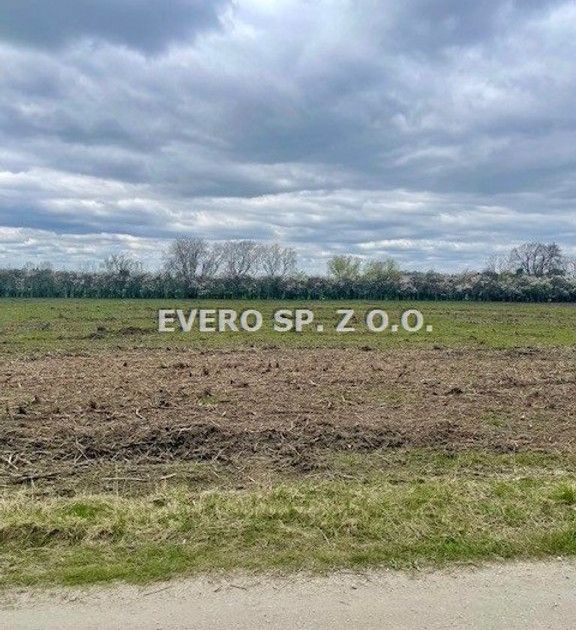 Działka na sprzedaż - Widok 2