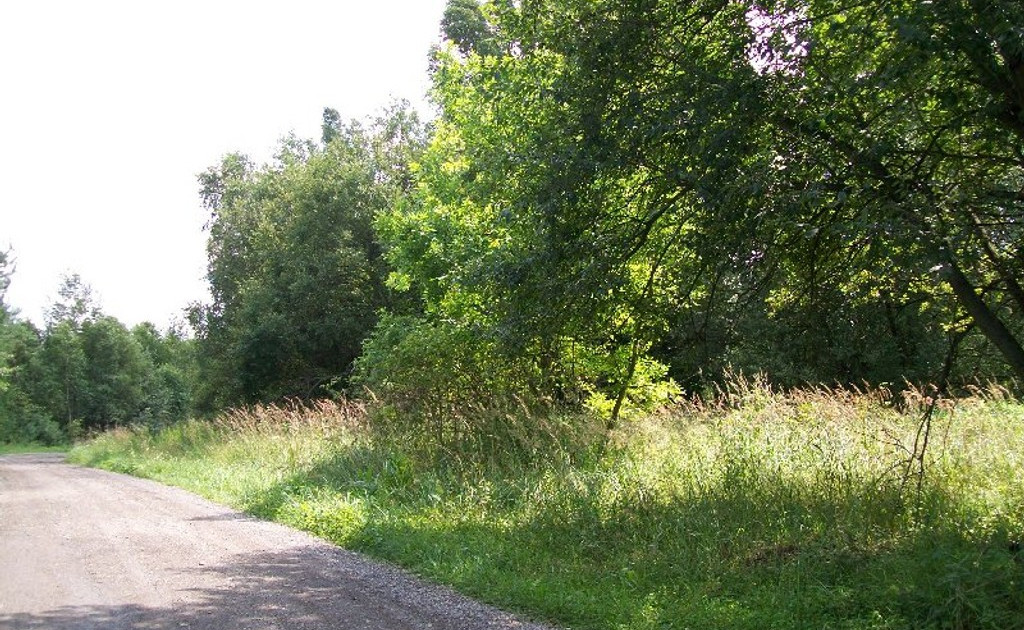 Działka na sprzedaż - Widok 2