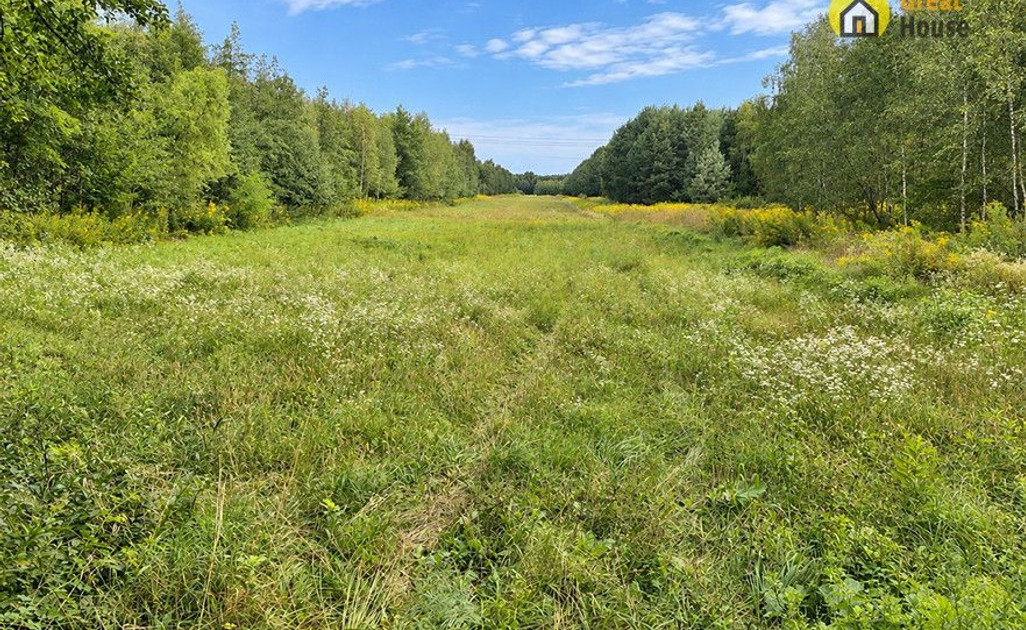 Działka na sprzedaż - Widok 2