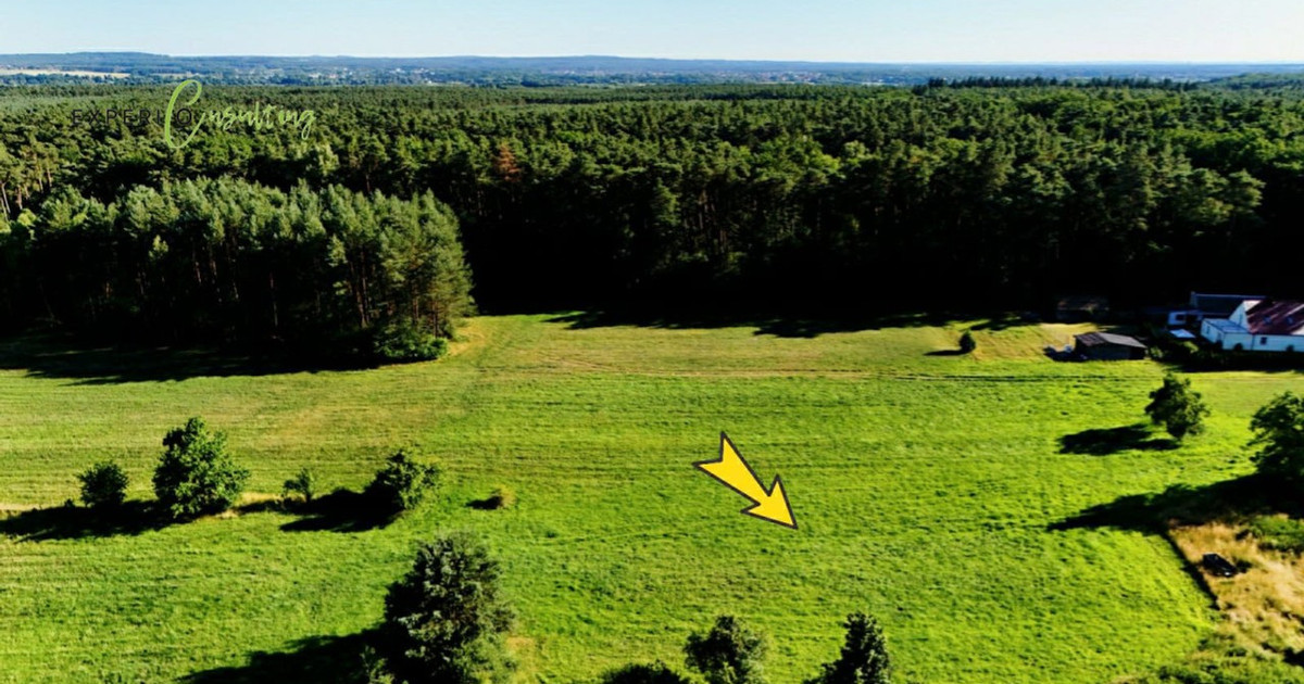 Działka na sprzedaż - Widok 2