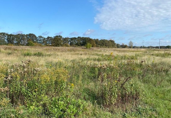 Grond, 11400 m²