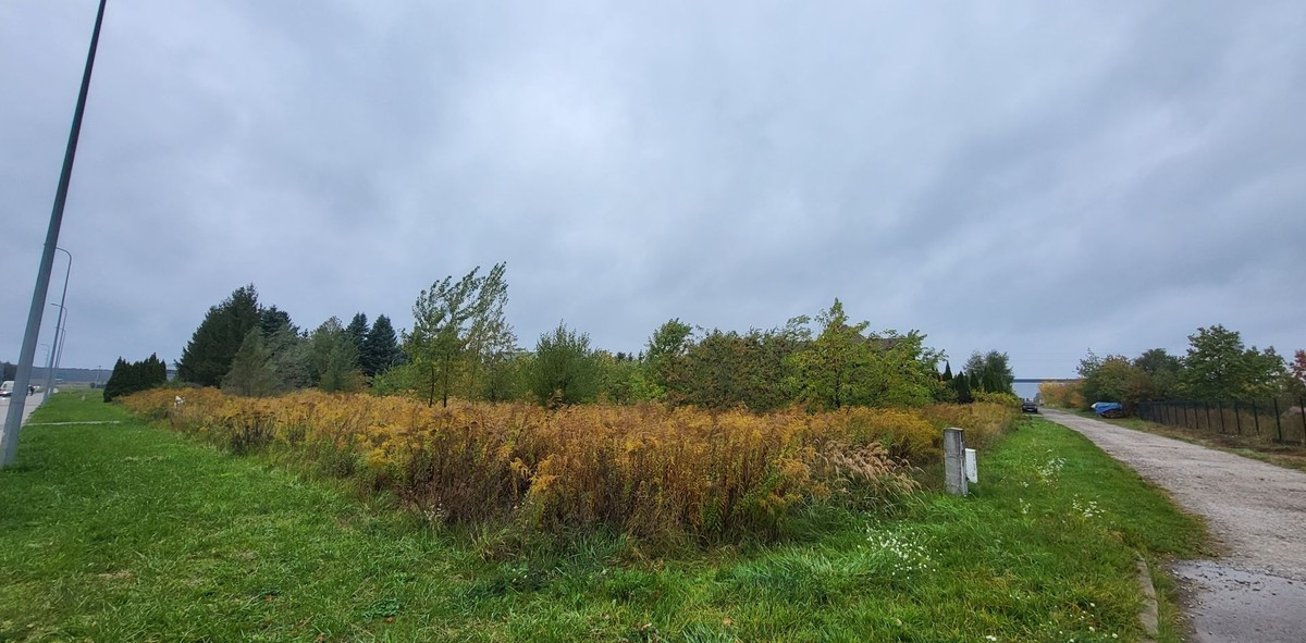 Działka na sprzedaż - Widok 2