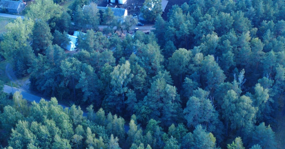 Działka na sprzedaż - Widok 2
