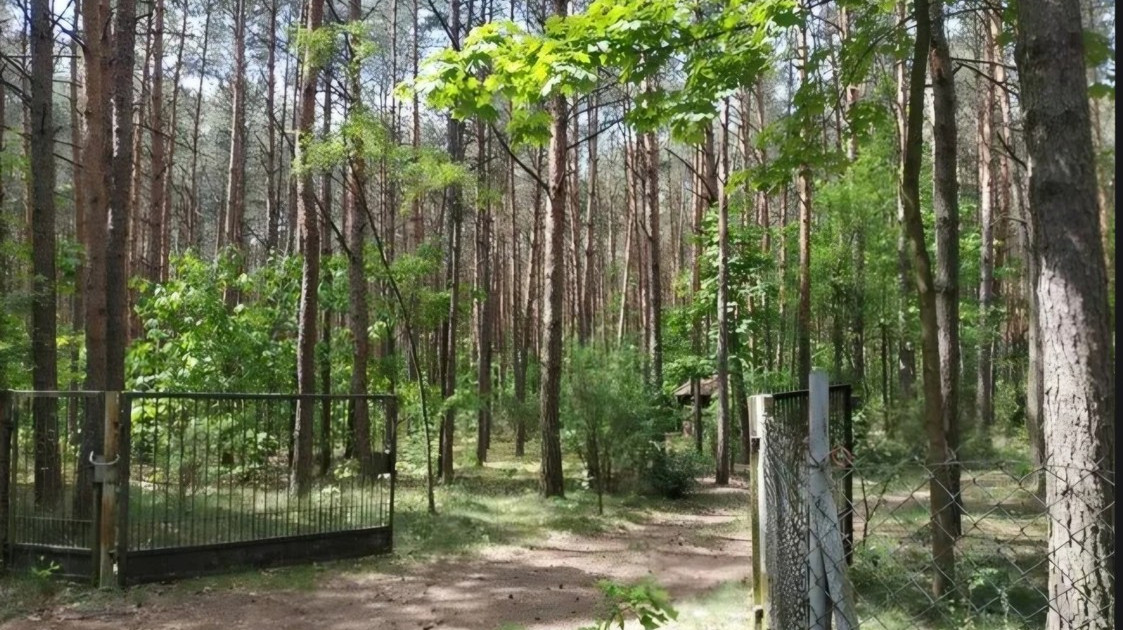 Działka na sprzedaż - Widok 2