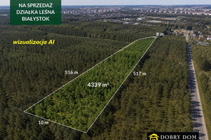 Działka leśna – 4339 m² w granicach miasta