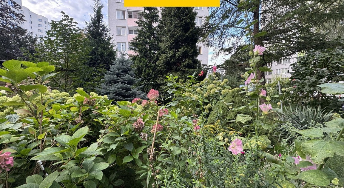 Mieszkanie – Warszawa, Ksawerów, Mokotów - Widok 2