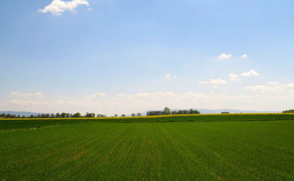 Działka na sprzedaż - Widok 2