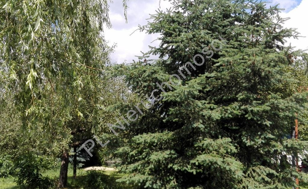 Działka na sprzedaż - Widok 2