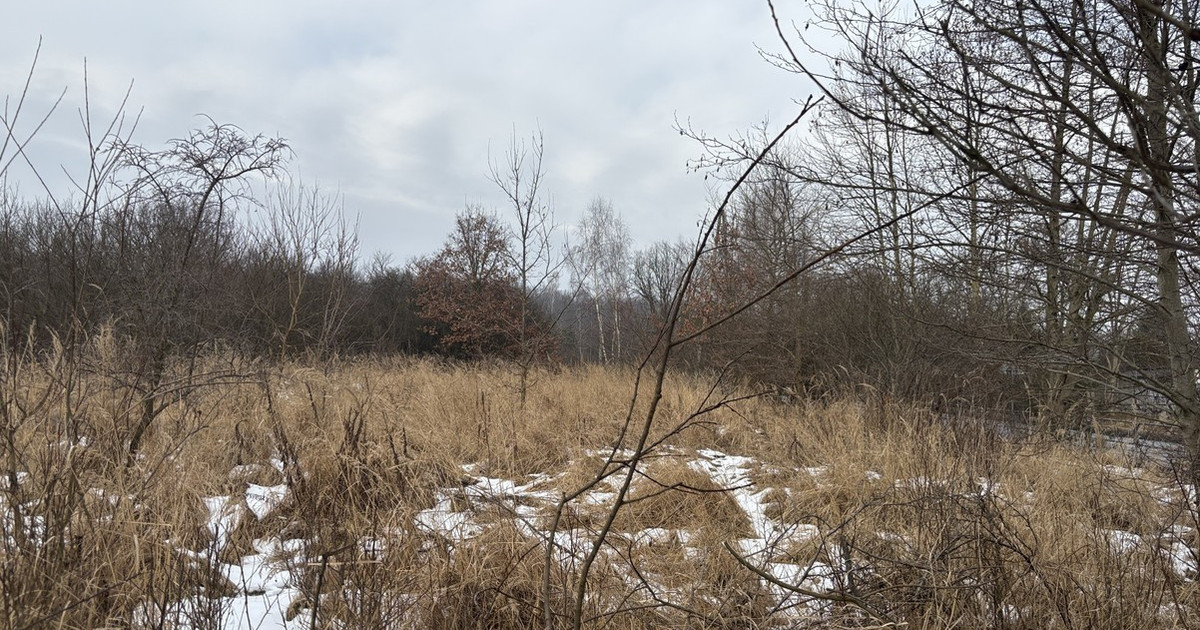Działka na sprzedaż - Widok 2