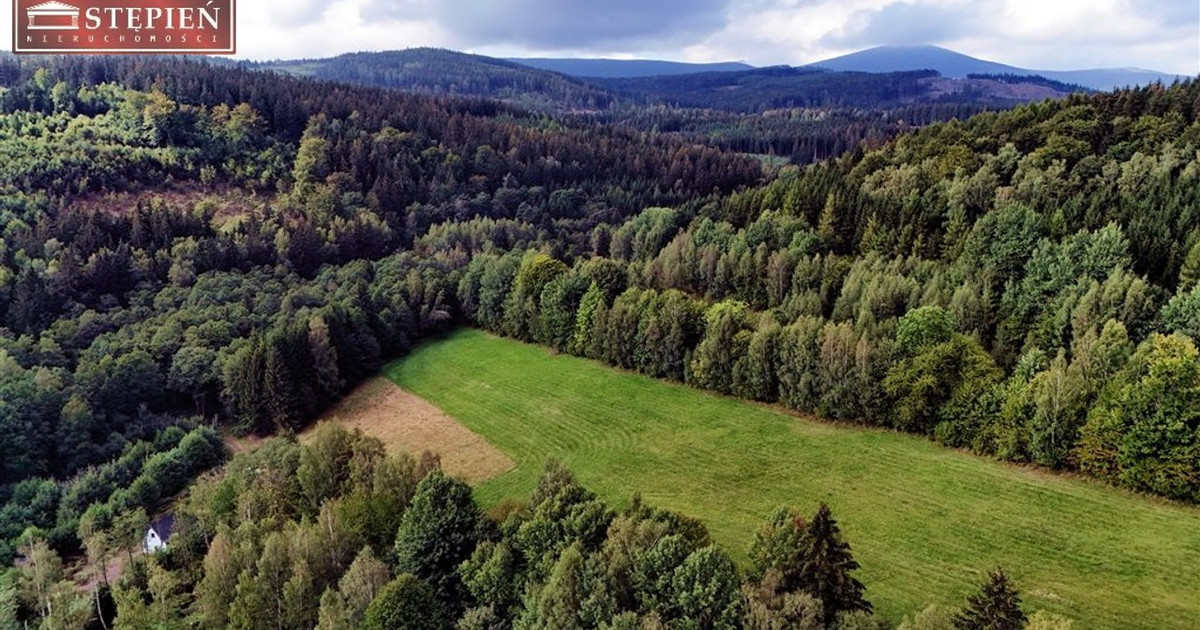 Działka na sprzedaż - Widok 2