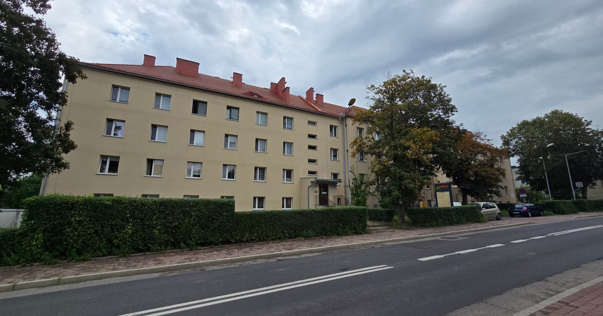 Nieruchomość komercyjna do wynajęcia - Widok 2
