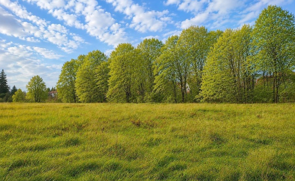 Działka na sprzedaż - Widok 2