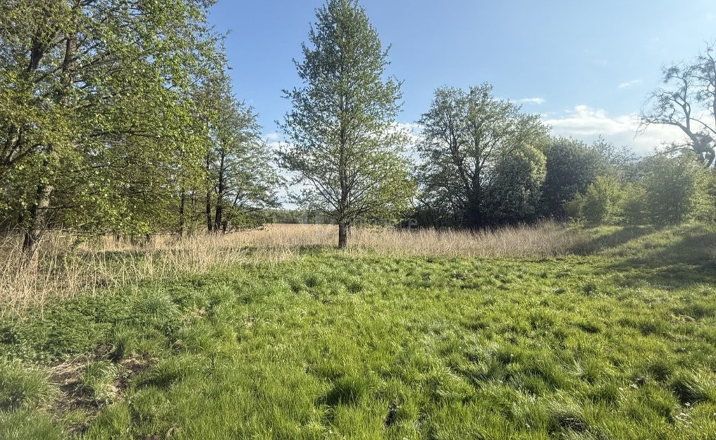 Działka na sprzedaż - Widok 2