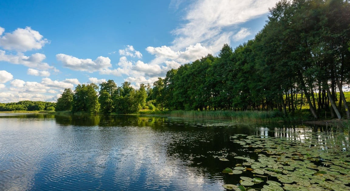 Działka na sprzedaż - Widok 2
