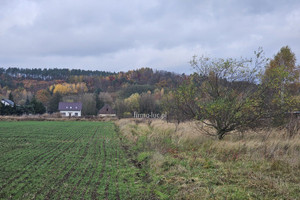 Działka uprawna/rolna Wieprzyce