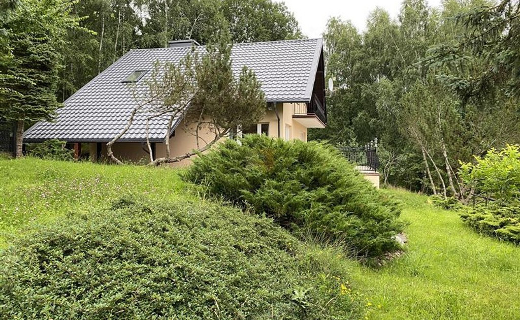 Dom – Linia - Widok 2