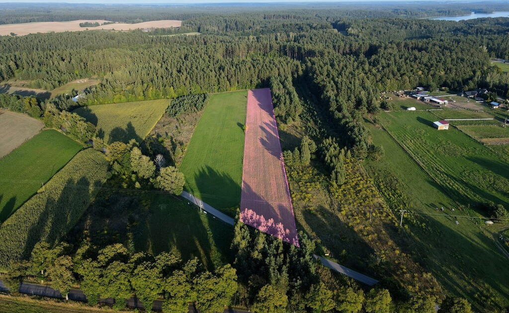 Działka na sprzedaż - Widok 2