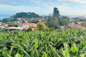 Działka na sprzedaż Madera Funchal - zdjęcie 3