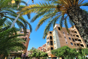 Mieszkanie na sprzedaż 57m2 Walencja Alicante Torrevieja - zdjęcie 2