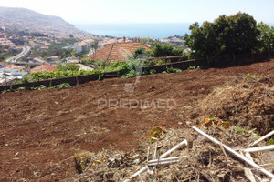 Działka na sprzedaż Madera Funchal Santo António - zdjęcie 1