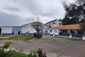 Działka na sprzedaż Santarm Cartaxo Cartaxo e Vale da Pinta - zdjęcie 1