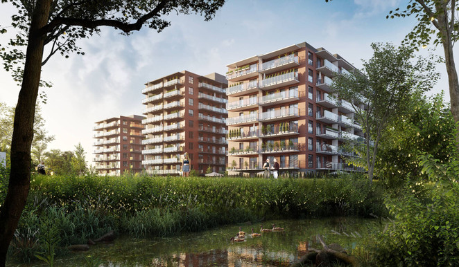 Morizon WP ogłoszenia | Mieszkanie w inwestycji Wyspa Solna, Etap III, budynek A, Kołobrzeg, 36 m² | 4152