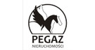 PEGAZ NIERUCHOMOŚCI