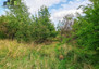 Morizon WP ogłoszenia | Działka na sprzedaż, Porosły, 1008 m² | 2808