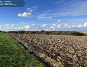 Działka na sprzedaż, Niechobrz, 1100 m²