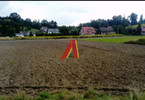 Morizon WP ogłoszenia | Działka na sprzedaż, Młynka Młynka, 4900 m² | 1041