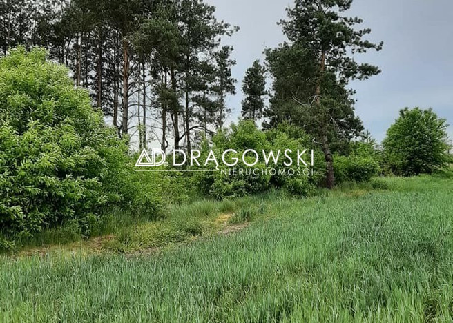 Morizon WP ogłoszenia | Działka na sprzedaż, Chylice, 5700 m² | 6362