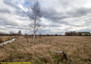 Morizon WP ogłoszenia | Działka na sprzedaż, Kamienica Polska, 8860 m² | 2933