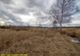 Morizon WP ogłoszenia | Działka na sprzedaż, Kamienica Polska, 8860 m² | 2933