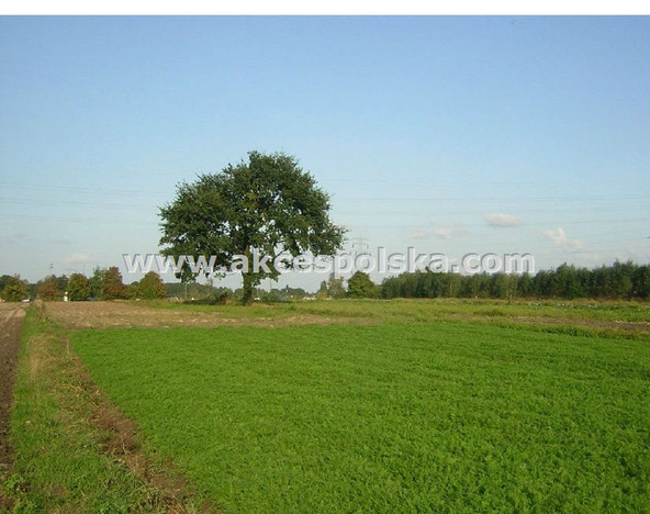 Morizon WP ogłoszenia | Działka na sprzedaż, Warszawa Wilanów, 26000 m² | 5981