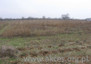 Morizon WP ogłoszenia | Działka na sprzedaż, Stachowo, 1152 m² | 8823