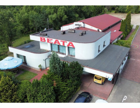 Obiekt na sprzedaż, Wrzosowa Katowicka, 772 m²