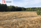 Morizon WP ogłoszenia | Działka na sprzedaż, Nowa Wioska, 6250 m² | 6132