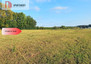 Morizon WP ogłoszenia | Działka na sprzedaż, Czarże, 1005 m² | 0387