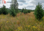 Morizon WP ogłoszenia | Działka na sprzedaż, Stronno, 993 m² | 9060