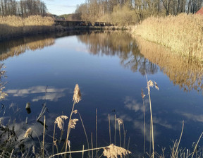 Działka na sprzedaż, Kruszyn Krajeński Osiedlowa, 3743 m²