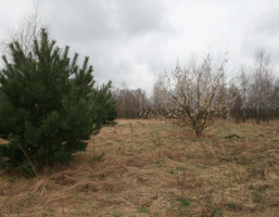 Morizon WP ogłoszenia | Działka na sprzedaż, Izbica, 976 m² | 5809