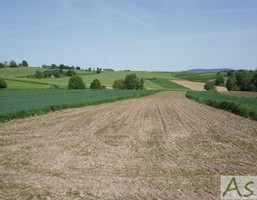 Morizon WP ogłoszenia | Działka na sprzedaż, Mników, 3300 m² | 6582