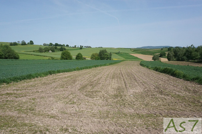 Morizon WP ogłoszenia | Działka na sprzedaż, Mników, 3300 m² | 6582