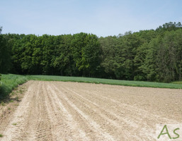 Morizon WP ogłoszenia | Działka na sprzedaż, Mników, 5500 m² | 7380