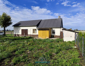 Działka na sprzedaż, Brudzeń, 21955 m²