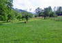 Morizon WP ogłoszenia | Działka na sprzedaż, Dzięgielów, 900 m² | 4835