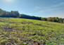 Morizon WP ogłoszenia | Działka na sprzedaż, Cieszyn, 1533 m² | 5855