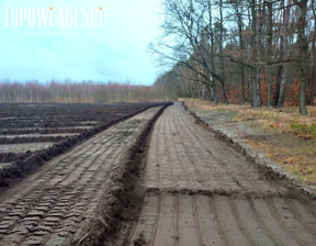 Działka na sprzedaż, Pęchery Bolesława Chrobrego, 10016 m²