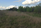 Morizon WP ogłoszenia | Działka na sprzedaż, Mszczonów, 10000 m² | 4483