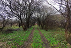 Morizon WP ogłoszenia | Działka na sprzedaż, Łomianki Brzegowa, 14567 m² | 3890